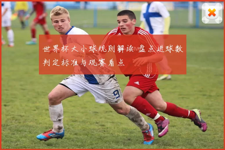 世界杯大小球规则解读 盘点进球数判定标准与观赛看点