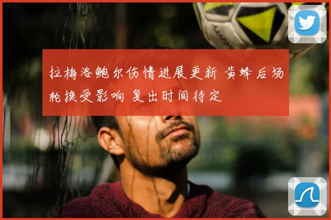 拉梅洛鲍尔伤情进展更新 黄蜂后场轮换受影响 复出时间待定