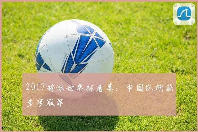 2017游泳世界杯落幕,中国队斩获多项冠军