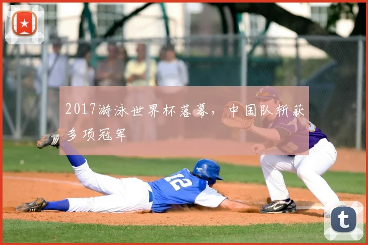 2017游泳世界杯落幕,中国队斩获多项冠军