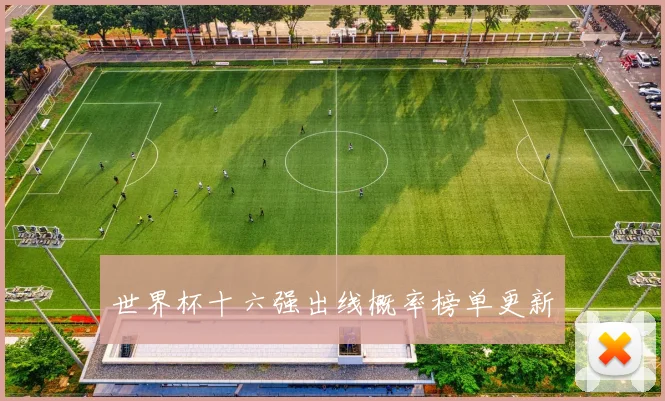 世界杯十六强出线概率榜单更新