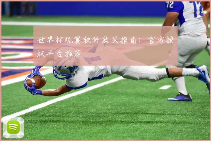 世界杯观赛软件购买指南：官方授权平台推荐