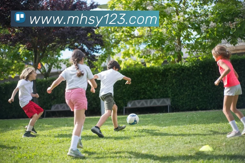 多媒体互动体验